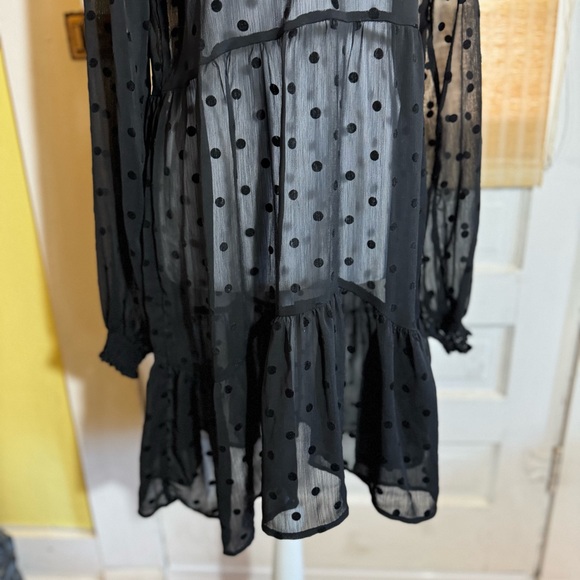 Black Chiffon Whimsigoth Dress Sheer Polka Dot Long Sleeve Babydoll Size S - Picture 4 of 11